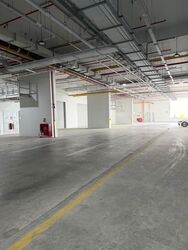 Ct Foodnex (D25), Factory #626380241